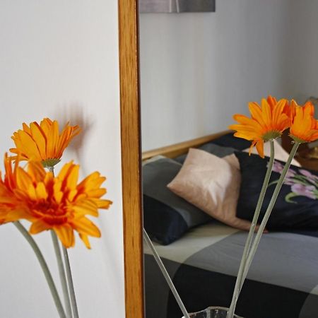 Apartament Sant Joan Sant Joan De Villatorrada Ruang foto